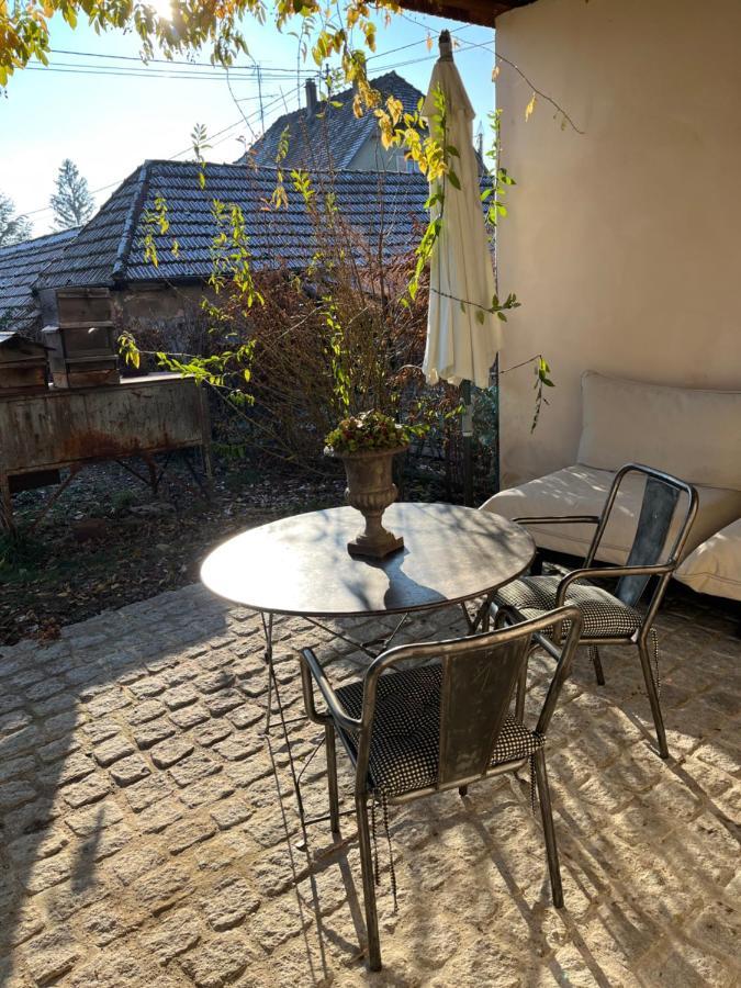 Studio De Charme Avec Terrasse Privee, Jardin Partage Bouxwiller  Exterior foto